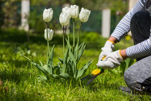Professional tree lopping service in Cricklewood