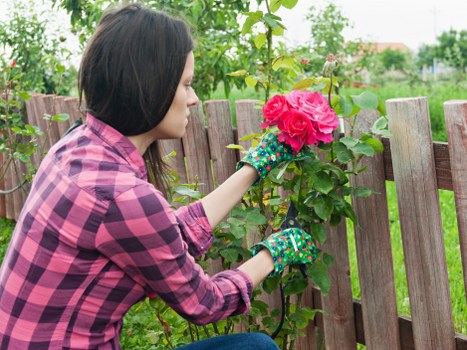 Gardener preparing tools for safe garden maintenance