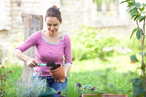 Gardener pruning a small Cricklewood terrace front garden