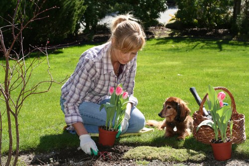 Two gardeners working on a medium suburban garden clearance
