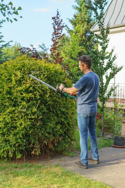 A man using pruning shears with a long extension pole to trim a large, dense green hedge in a residential garden. The hedge appears well-maintained, with some freshly cut branches visible, and is situ